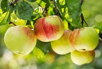 Foto: AdobeStock #189048648 von Nitr
